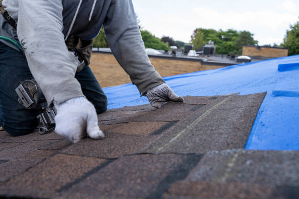 Best Roof Gutter Cleaning  in Metamora, IL